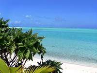 Cook Islands Gil